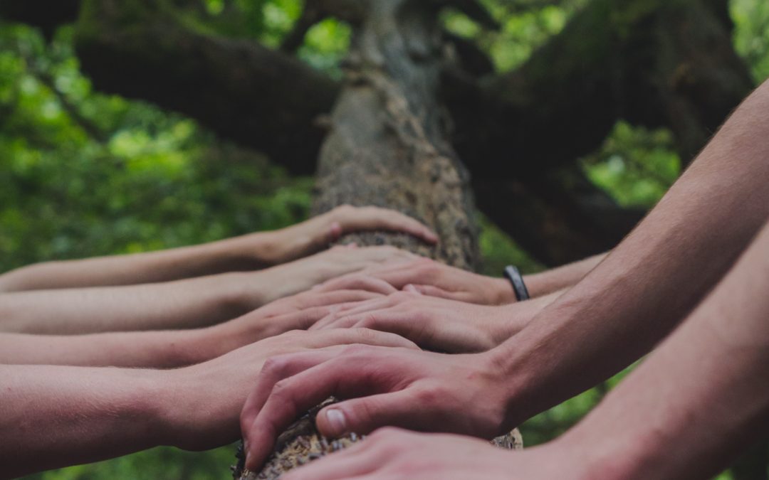 How Ancestral Healing Can Repair, Connect & Nurture Your Relationships – Vancouver Relationship Counselling